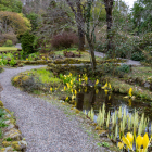 Garden05