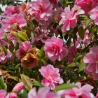 Bild06