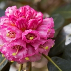 Bild07