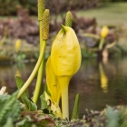 Bild08