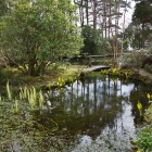 Bild09