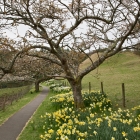 Bild11