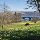 Inverary02