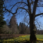 Inverary03