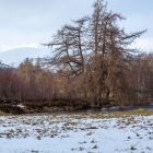 Deeside_03