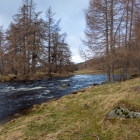 Deeside_04