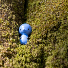 Figuren-02