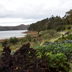 Gardens12
