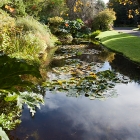 Gardens15