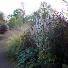Gardens4