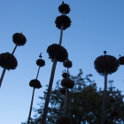 Gardens5