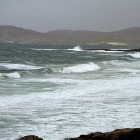 Harris06