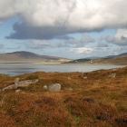 Harris10