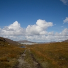 Harris12