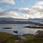 Harris_08