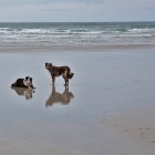Islay05