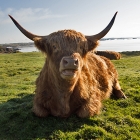 Islay_2