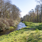 Islay-Woods_02