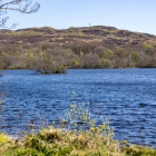 Islay-Woods_06