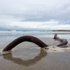 Islay14