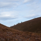 Landschaft6