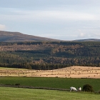 Landschaft9