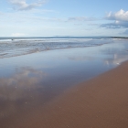 Strand14