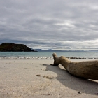 Point of Sleat