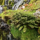Auf Skye