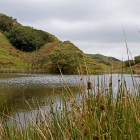 Fairy Glen