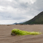 120610-7ds-schottland-6778