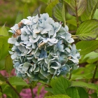 Bild07