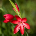 Bild08