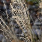 Bild10