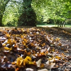 Bild11