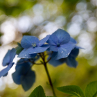 Skye_04