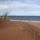 Strand12