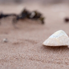 Strand2